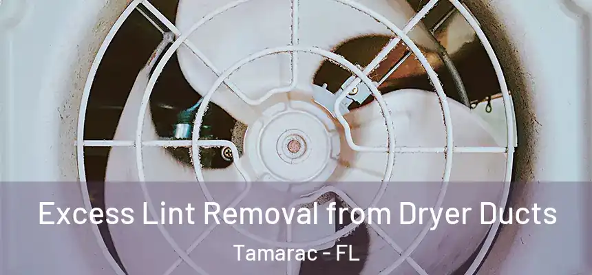 Excess Lint Removal from Dryer Ducts Tamarac - FL