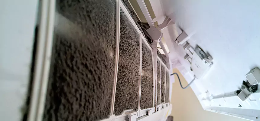 Preventive Air Duct Bacteria Removal in Tamarac