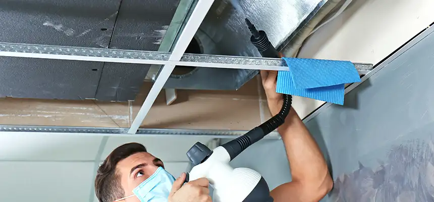 Our Air Duct Rodent Removal Services in Tamarac, FL