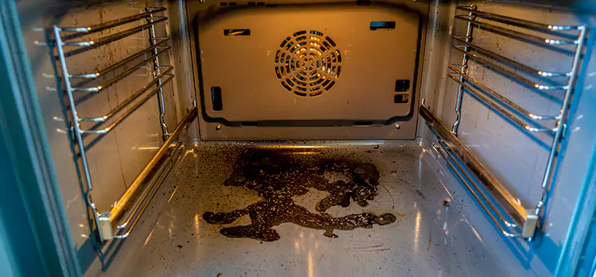 Our Dryer Vent Mold Cleaning Services in Tamarac, FL