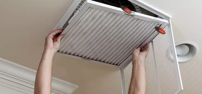 Our Insect Removal from Air Ducts Services in Tamarac, FL