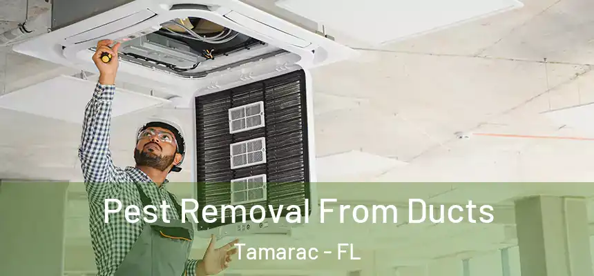  Pest Removal From Ducts Tamarac - FL
