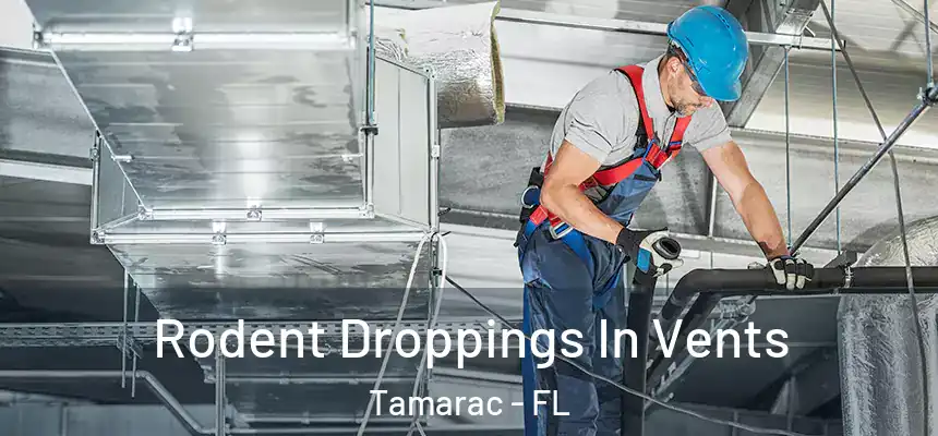Rodent Droppings In Vents Tamarac - FL