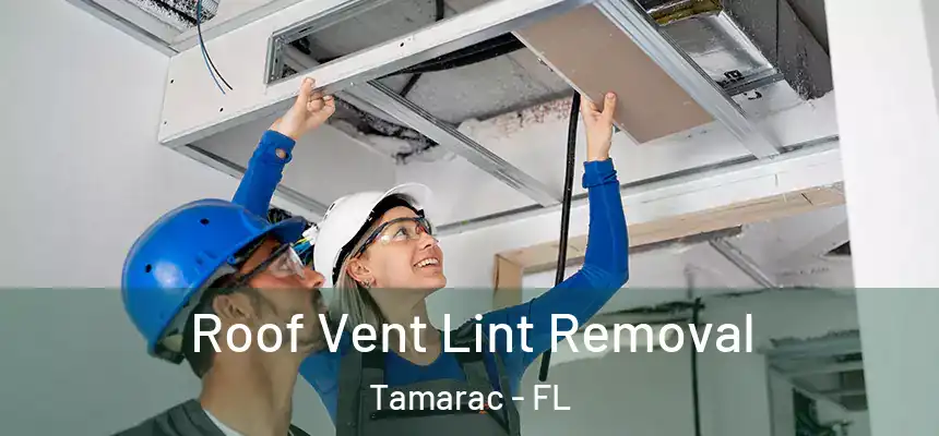 Roof Vent Lint Removal Tamarac - FL