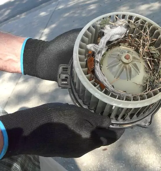 About Air Duct Rat Removal in Tamarac, FL