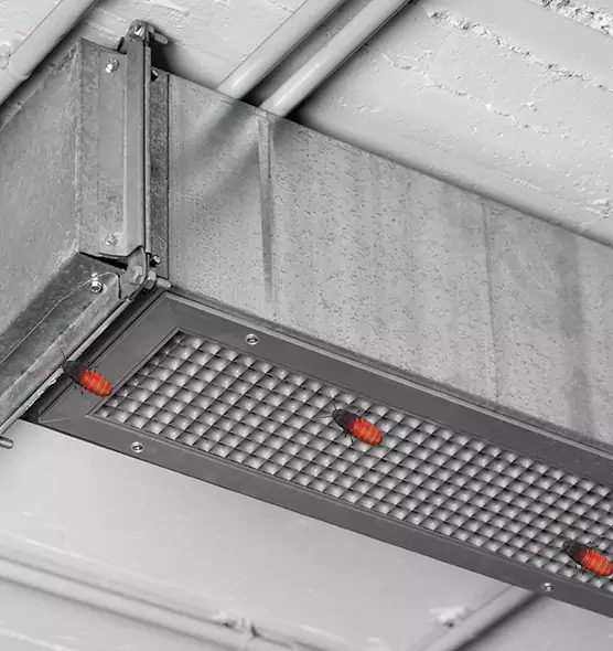 Affordable Insect Removal from Air Ducts in Tamarac, FL