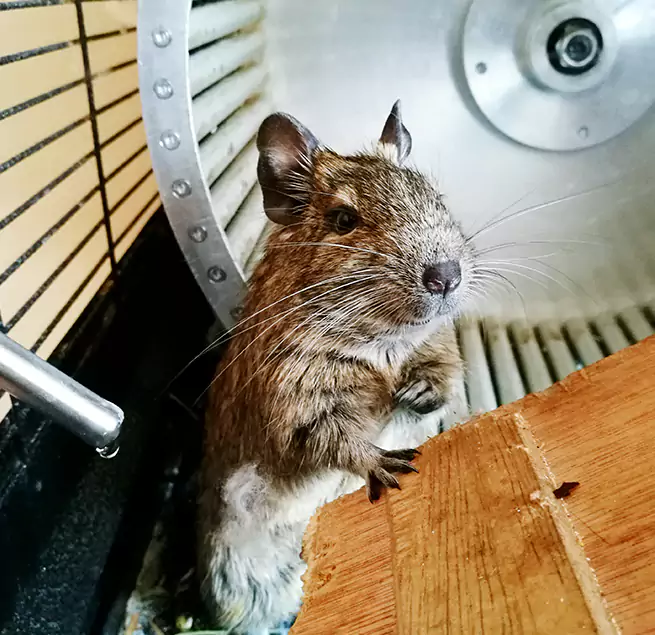 Why Homeowners & Businesses Trust Us Tamarac, FL