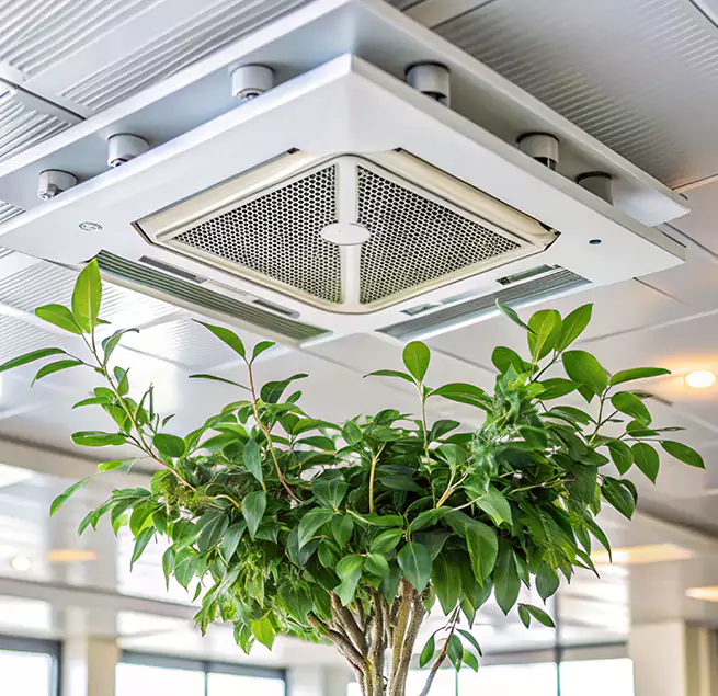 Why Homeowners & Businesses Trust Us in Tamarac, FL?