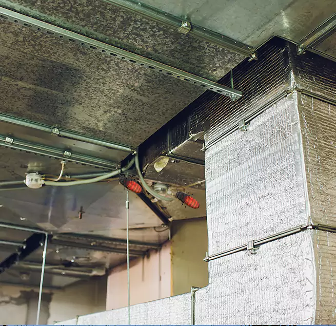 Why Homeowners & Businesses Trust Us Tamarac, FL?