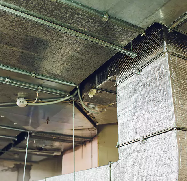 Why Homeowners & Businesses Trust Us in Tamarac, FL?